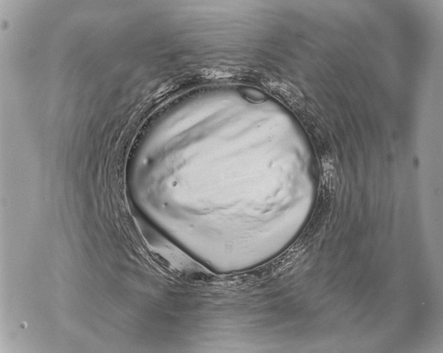 X0000070201009200606161611