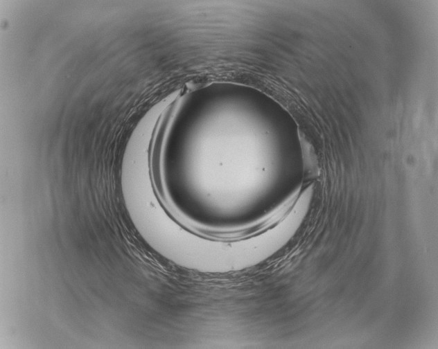 X0000070201010200606161611