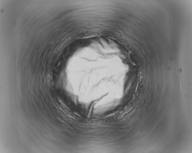 X0000070201011200606161611