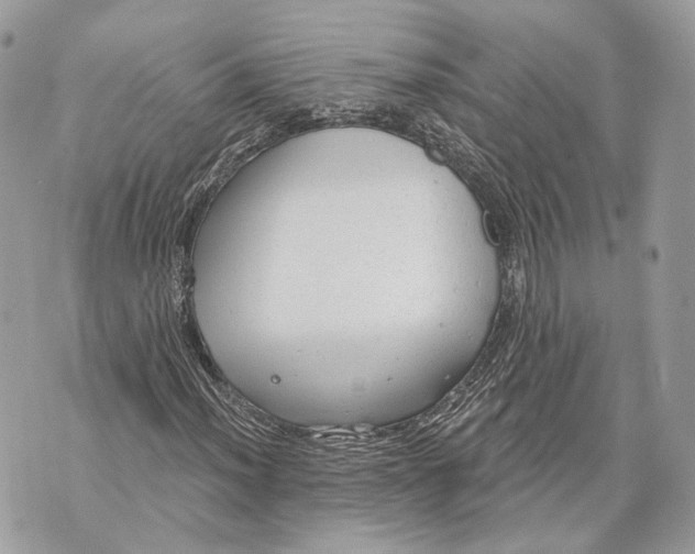 X0000070201012200606161611
