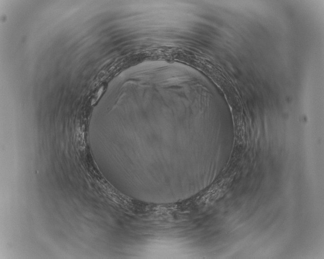 X0000070201013200606161611