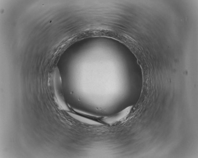 X0000070201014200606161611