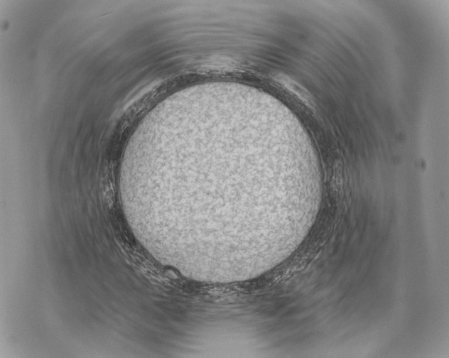 X0000070201015200606161611