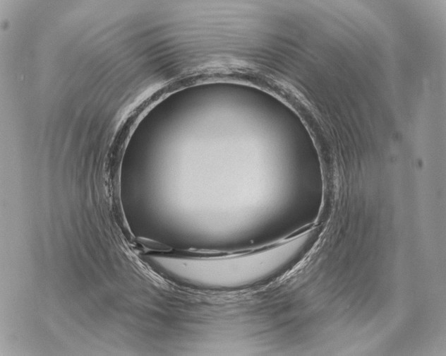 X0000070201018200606161611