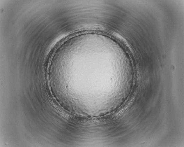 X0000070201019200606161611