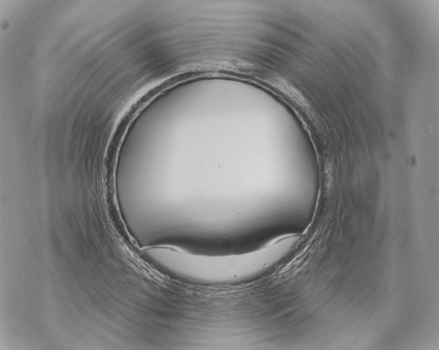X0000070201020200606161611