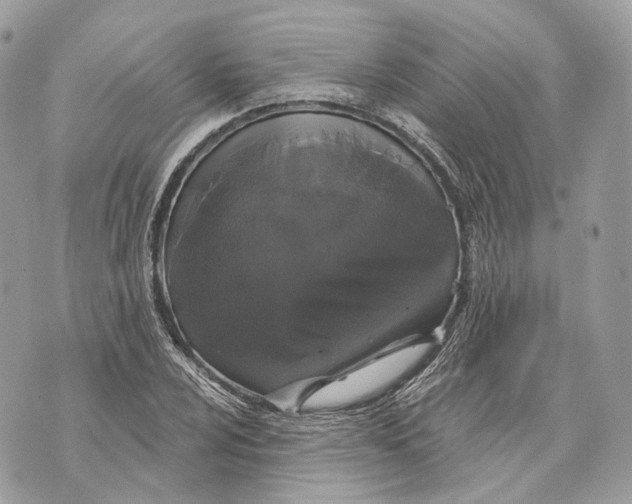 X0000070201024200606161611