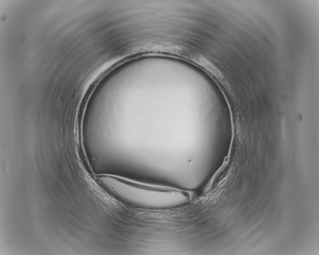 X0000070201028200606161611