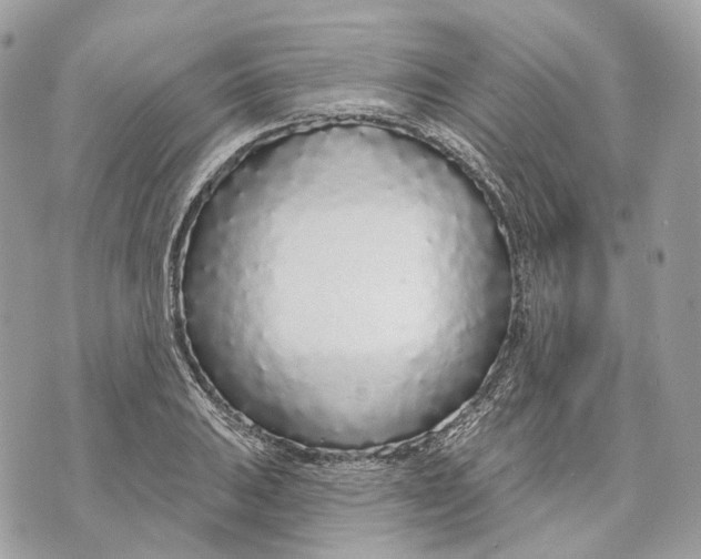 X0000070201031200606161611