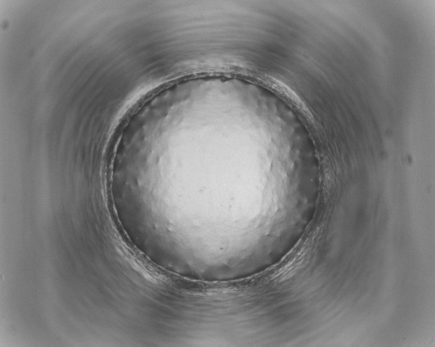 X0000070201035200606161611