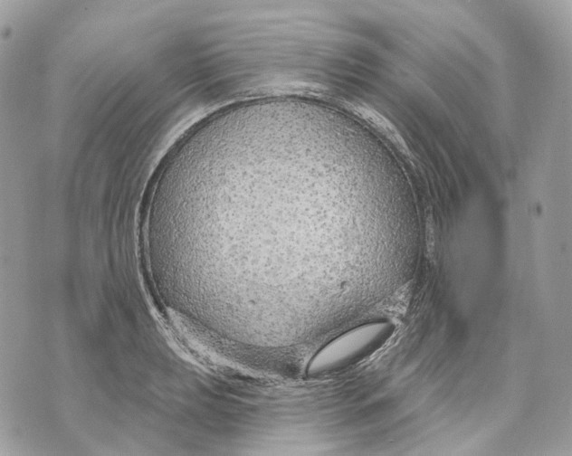X0000070201039200606161611