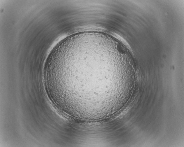 X0000070201043200606161611