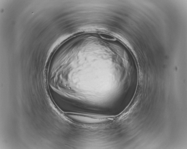 X0000070201045200606161611