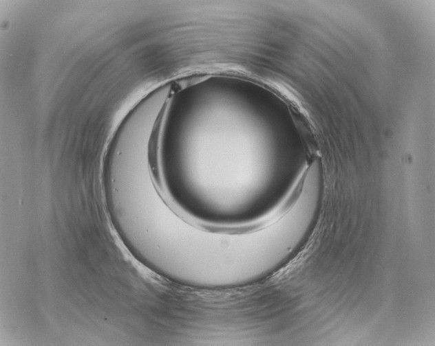 X0000070201046200606161611
