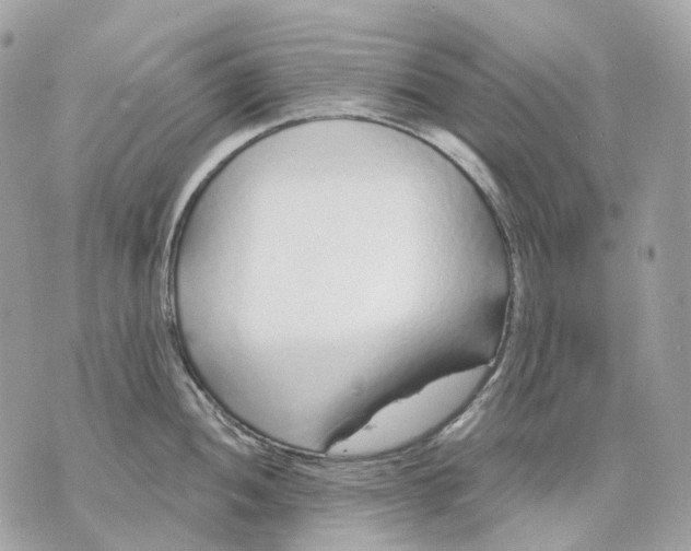 X0000070201052200606161611