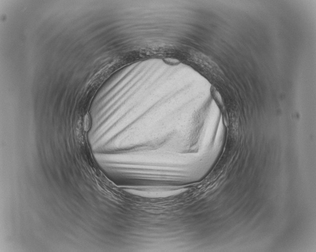X0000070201060200606161610