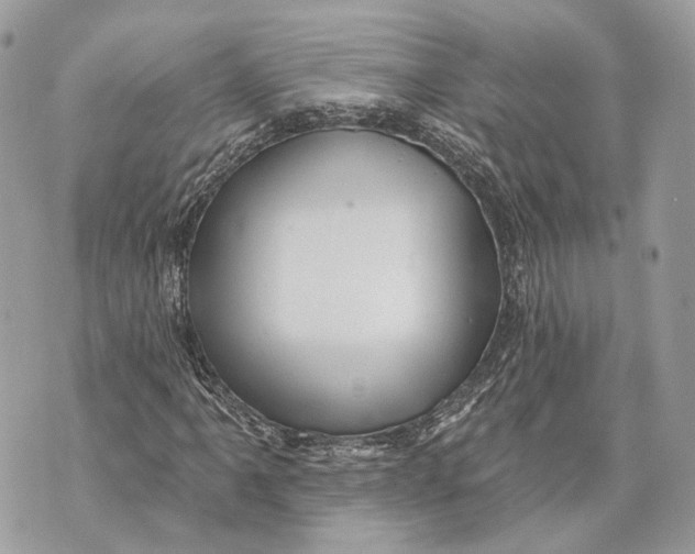 X0000070201061200606161610