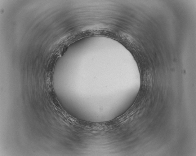 X0000070201062200606161610