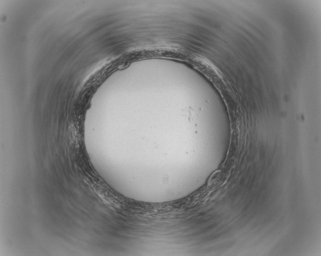 X0000070201064200606161610