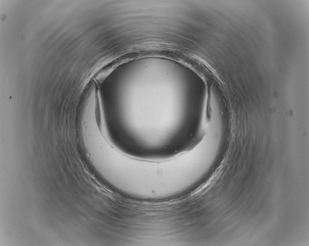 X0000070201065200606161610