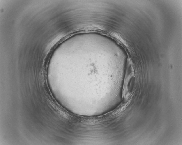 X0000070201071200606161610