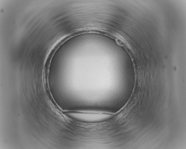 X0000070201076200606161610