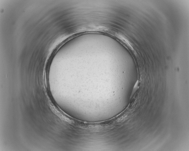 X0000070201080200606161610