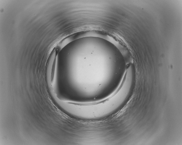 X0000070201081200606161610