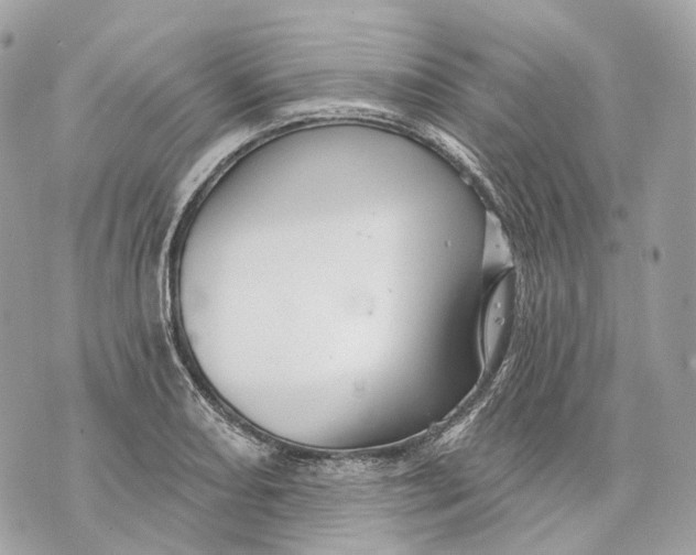 X0000070201082200606161610