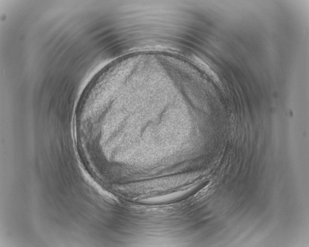 X0000070201084200606161610
