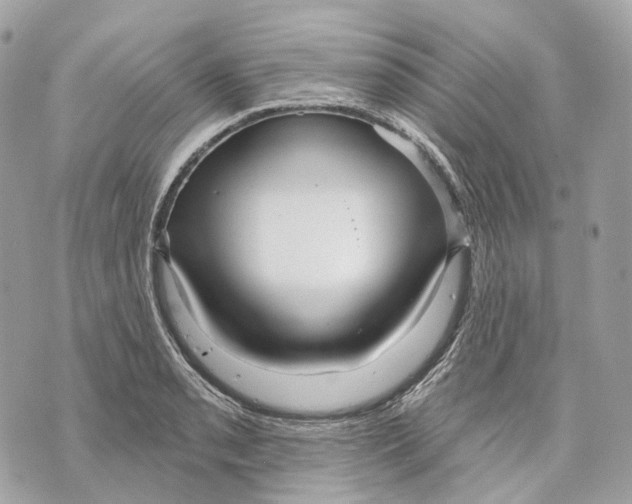 X0000070201085200606161610