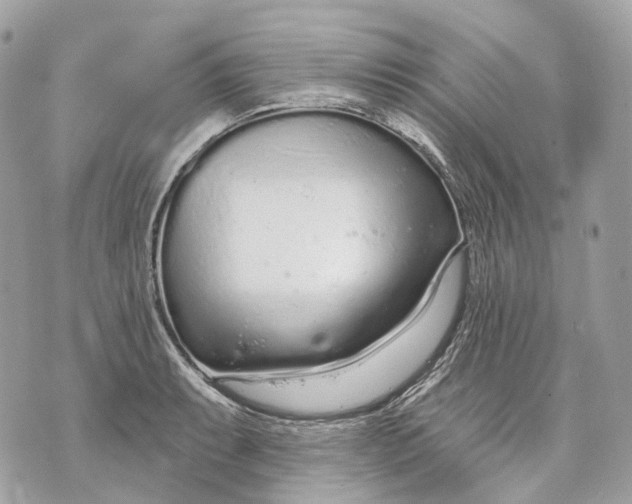 X0000070201087200606161610