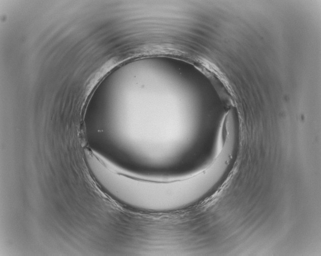 X0000070201089200606161610