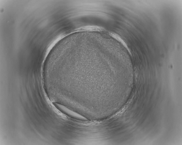 X0000070201091200606161610