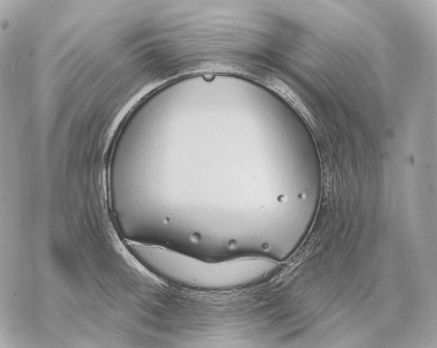 X0000070201092200606161610