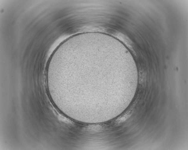 X0000070201094200606161610