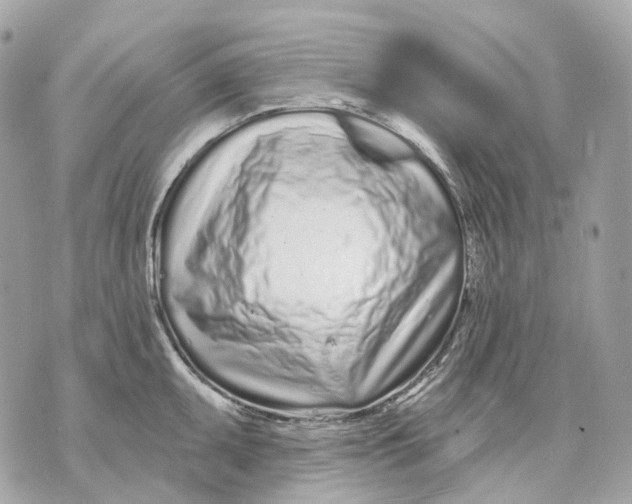 X0000070201095200606161610