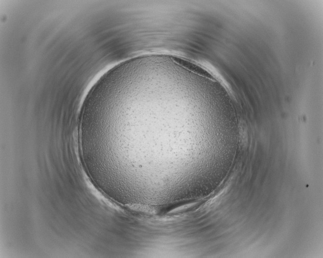 X0000070201100200606161610