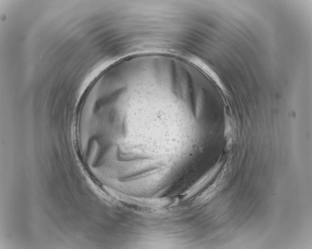X0000070201101200606161610