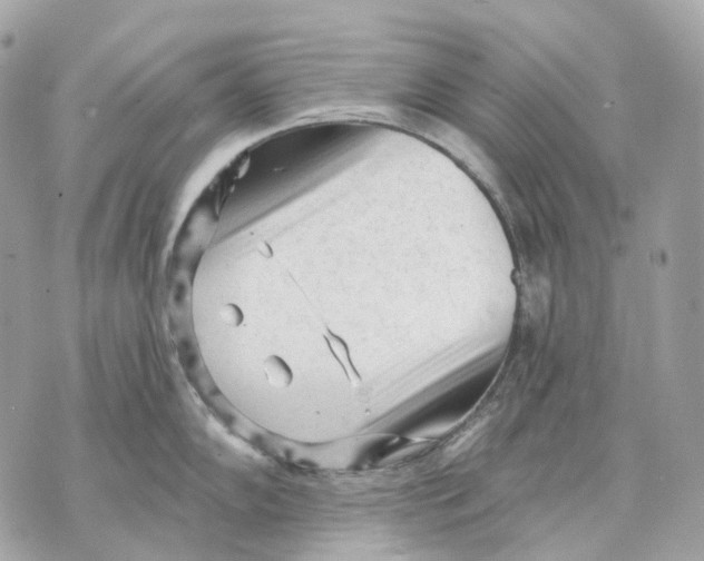 X0000070201102200606161610