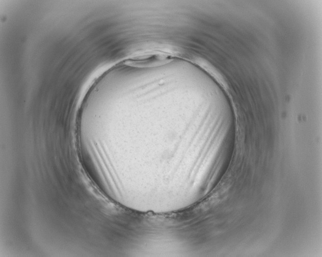 X0000070201104200606161610