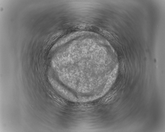 X0000070201105200606161609