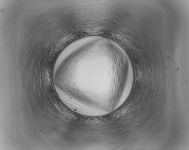 X0000070201106200606161609