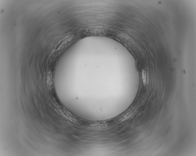 X0000070201107200606161609