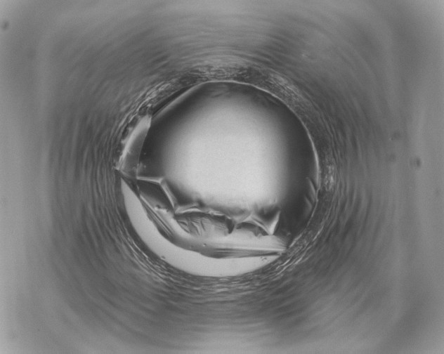X0000070201108200606161609