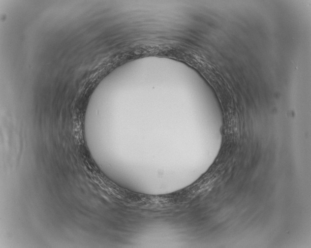 X0000070201109200606161609