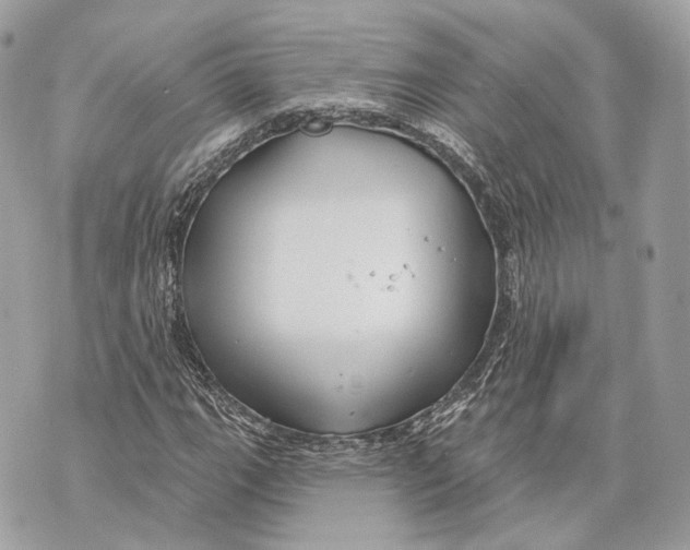 X0000070201111200606161609