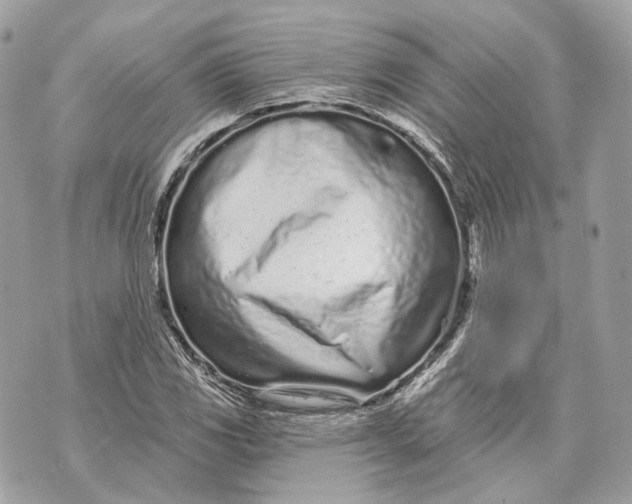 X0000070201117200606161609
