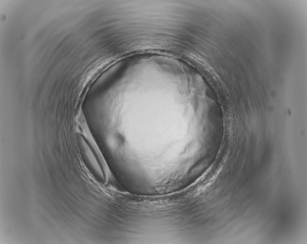 X0000070201121200606161609
