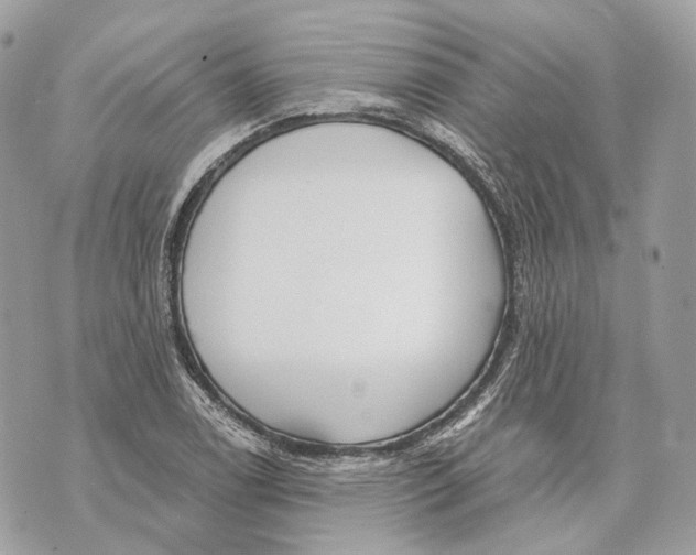 X0000070201122200606161609